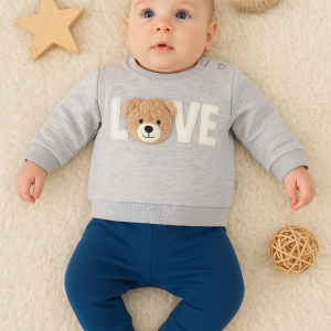 3-12 Ay Erkek Bebek Takımı Bear Love Nakışlı 2'li Gri