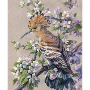  Bahar ve Kuş Sayılarla Boyama Seti Kasnaklı  40 x 50