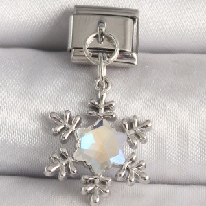 316L Çelik Gümüş Renk Zirkon Taşlı Kar Tanesi Model Nomination Charm