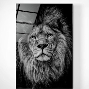 Aslan Cam Tablo