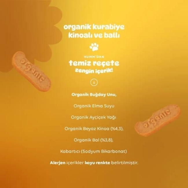 Text