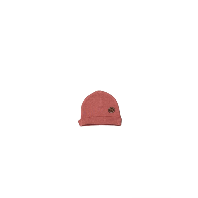 Text