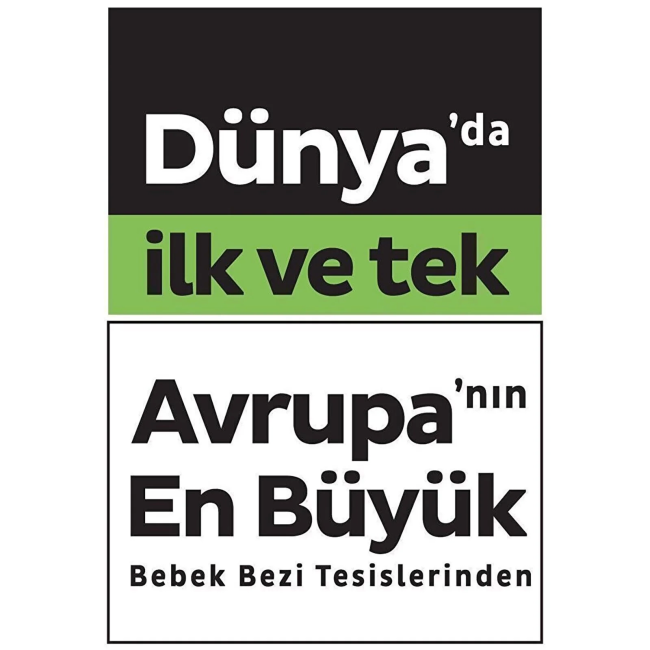 Text