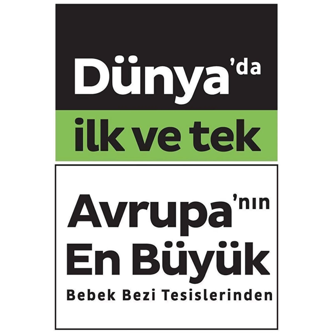 Text
