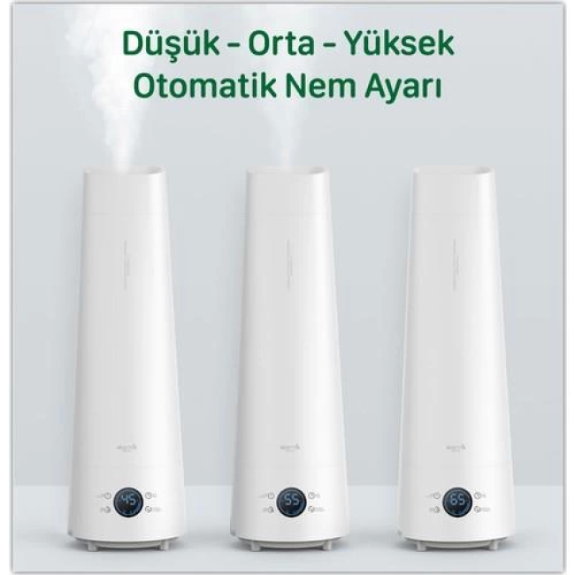 Text