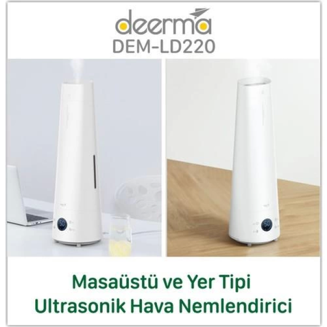 Text