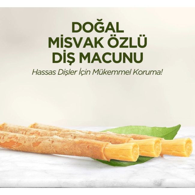 Text