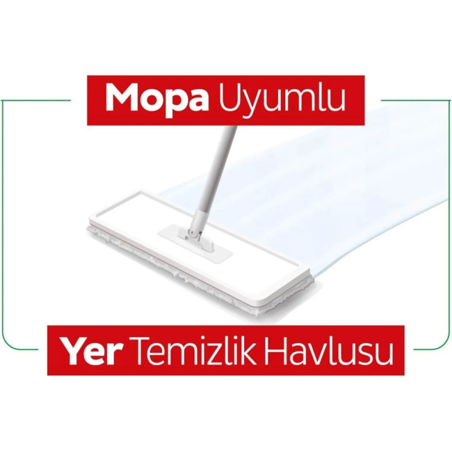 Text