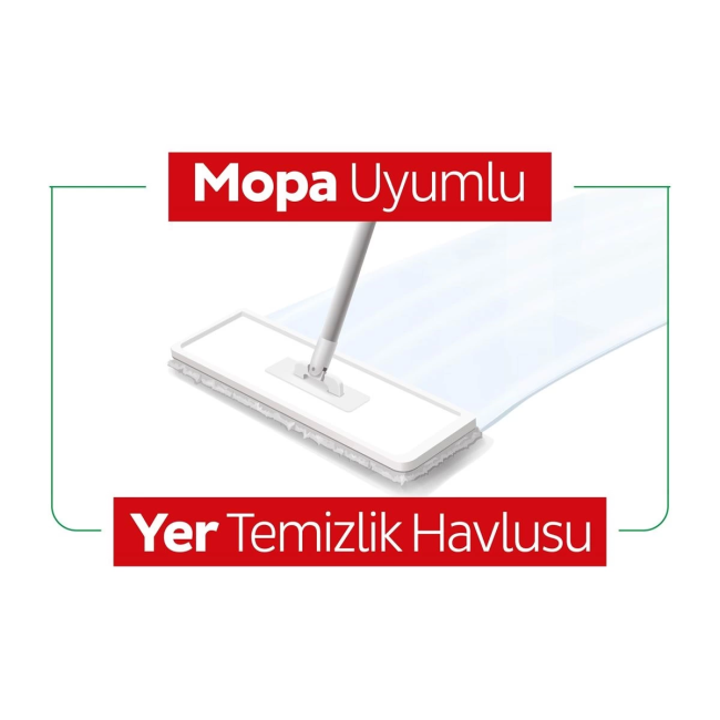 Text