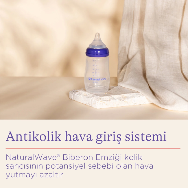 Text