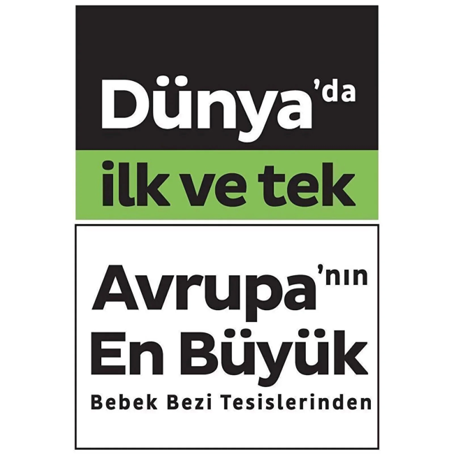Text