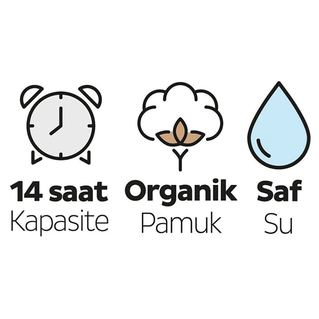 Text