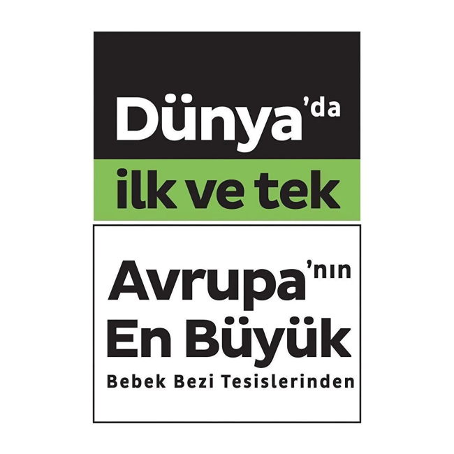 Text