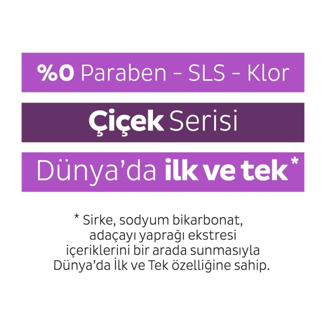 Text