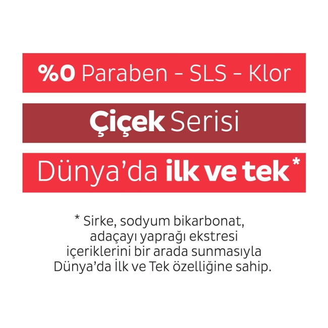Text