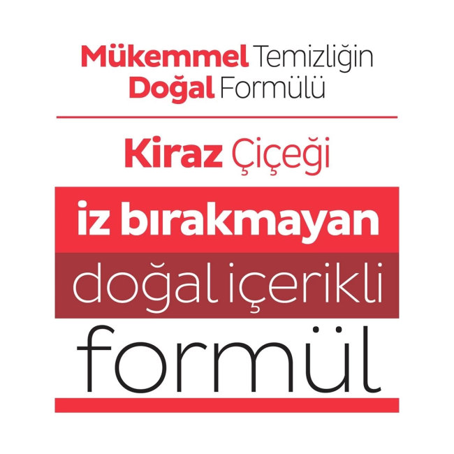 Text