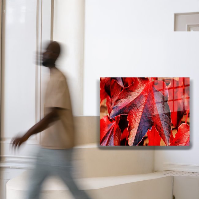 Text