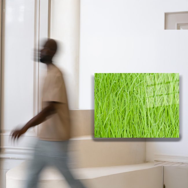 Text