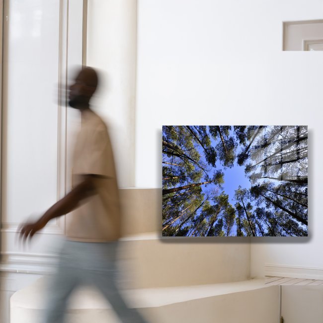 Text