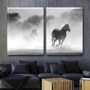 SİİYAH BEYAZ ATLAR İKİLİ TABLO