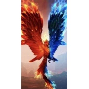  Ateş Ve Su Anka Kuşu Sayılarla Boyama Seti Kasnaklı  40 x 50