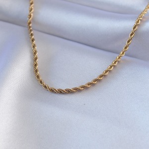 316L Çelik Gold Renk Burgu Model 45 cm Kadın Kolye