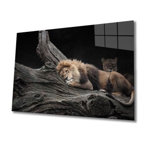 Aslan Cam Tablo