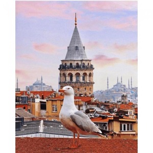  Galata Kulesi ve Martı Sayılarla Boyama Seti Kasnaklı  40 x 50